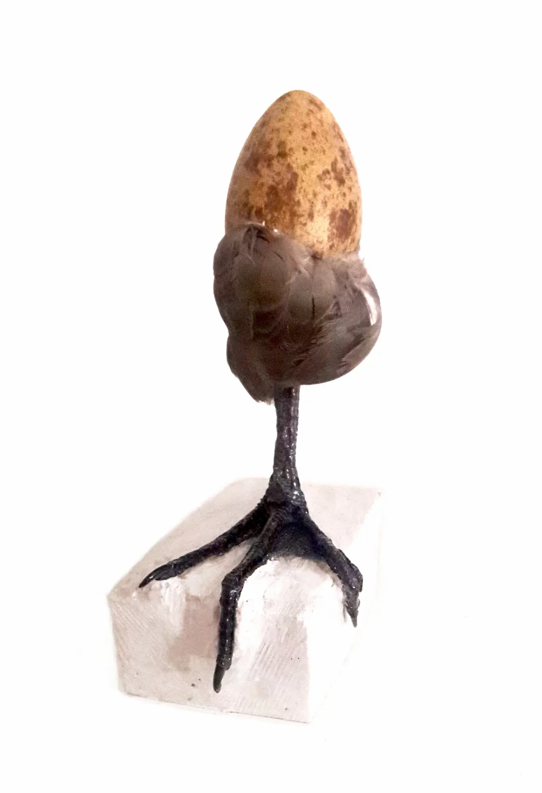 My Brothers Keeper Found Objects And Plaster